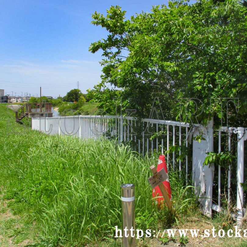 美園北橋 綾瀬川