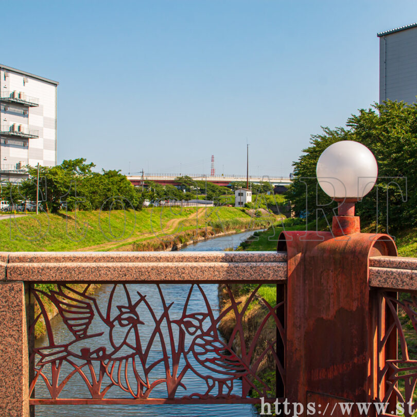 榎木橋下流向き① 旧芝川 2023夏