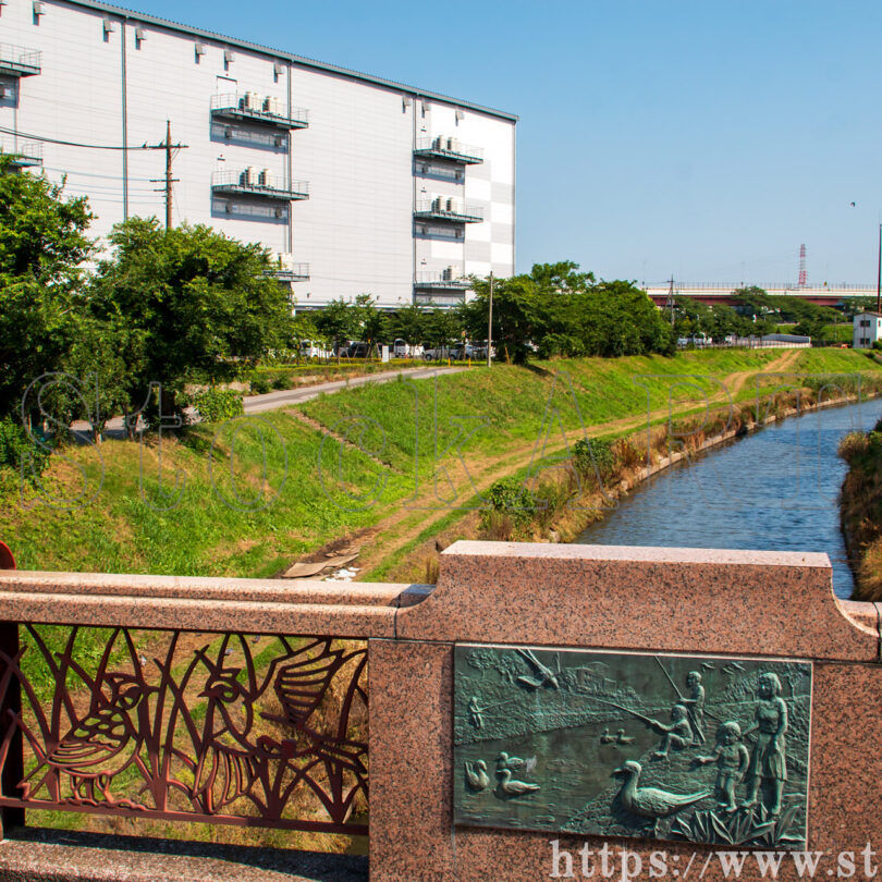 榎木橋下流向き② 旧芝川 2023夏