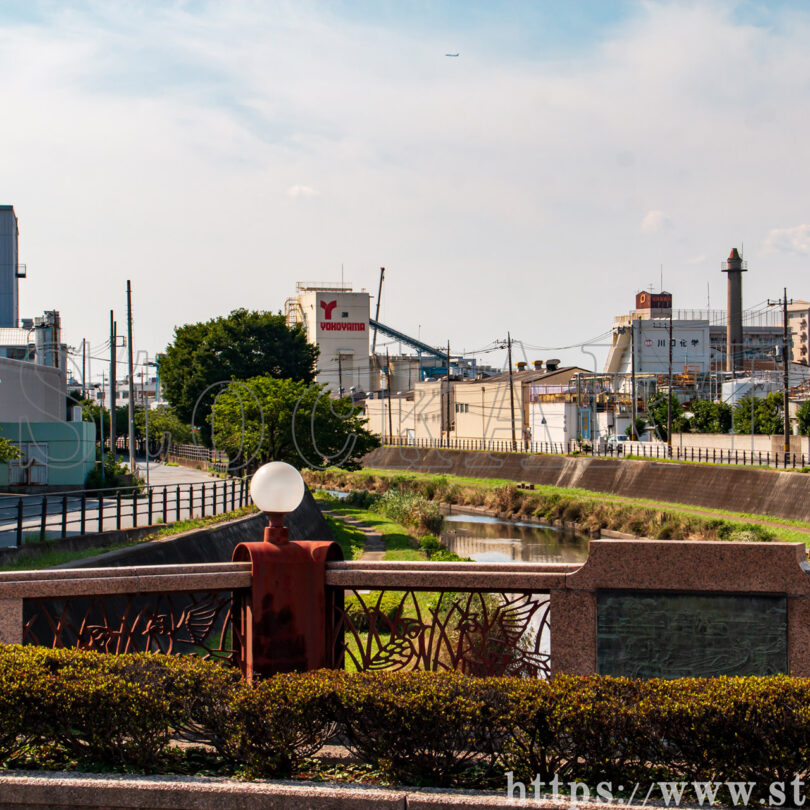 榎木橋上流向き② 旧芝川 2023夏