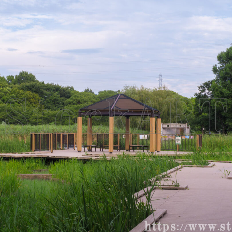 都立 舎人公園② 2023