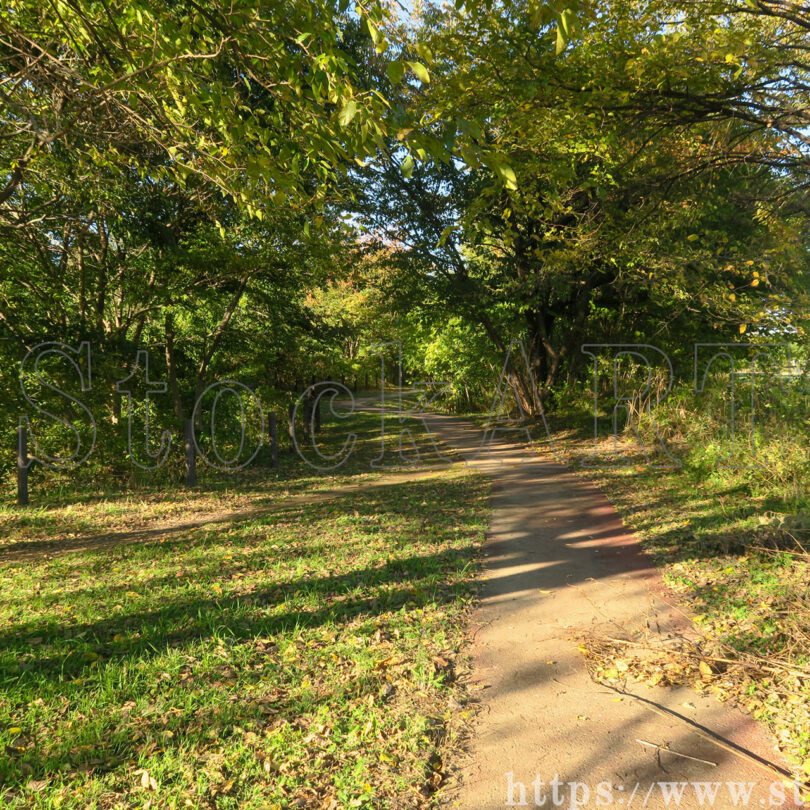 荒川生物生態園⑤ 2023 東京都板橋区