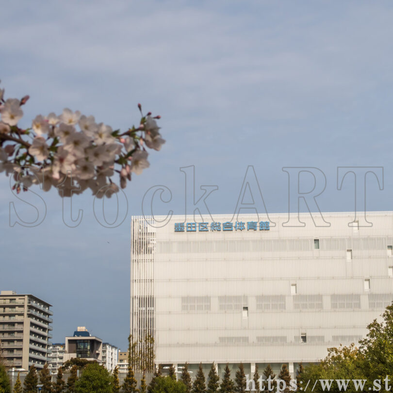 ひがしんアリーナ②（墨田区総合体育館）2024 東京都墨田区