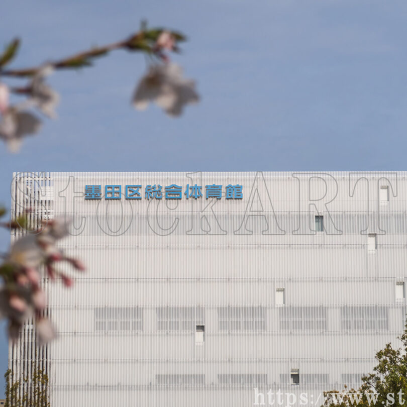 ひがしんアリーナ③（墨田区総合体育館）2024 東京都墨田区