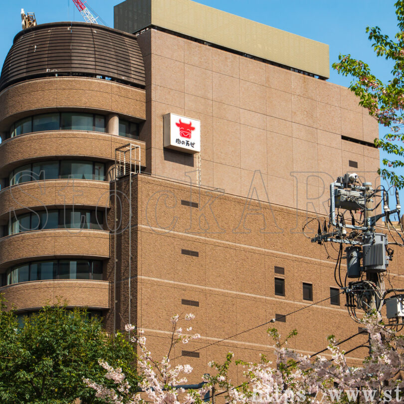 万世橋際角肉ビルと桜 2024 東京都千代田区