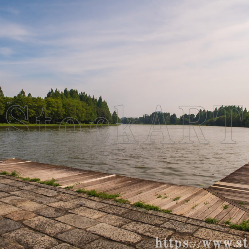 水元公園 2024⑬ 東京都葛飾区