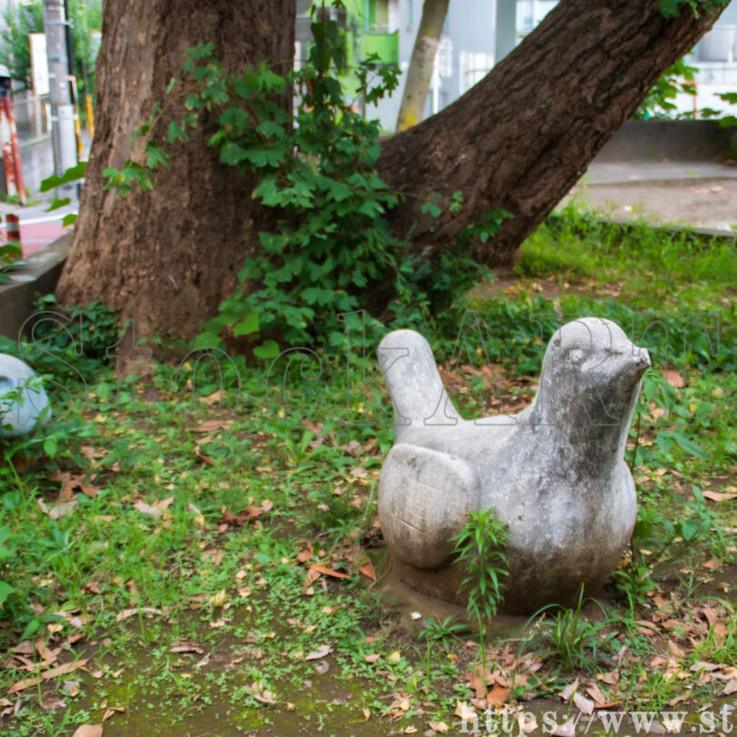 宮下児童遊園 ハト2024 東京都目黒区