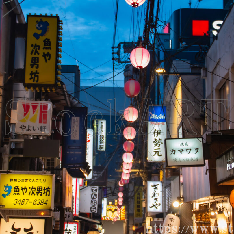 すずらん通 のネオン 2024 東京都世田谷区