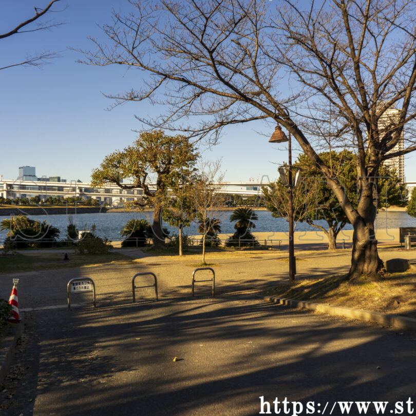 冬のお台場海浜公園 2025