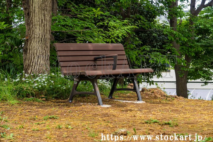 練馬区立早淵の森緑地 ベンチ