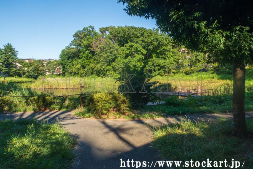 もえぎ野公園