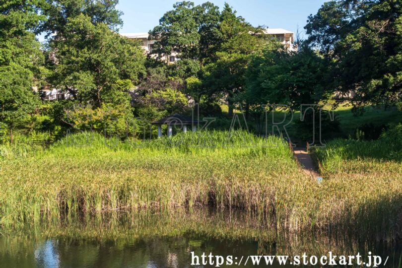 もえぎの公園