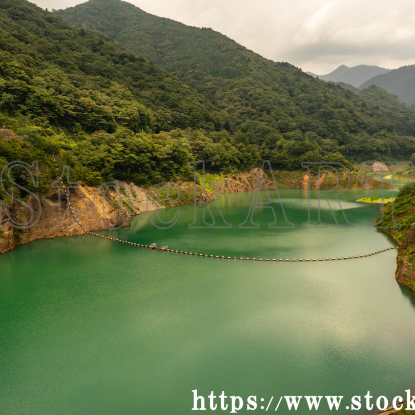 緑美しい奥四万湖 2025